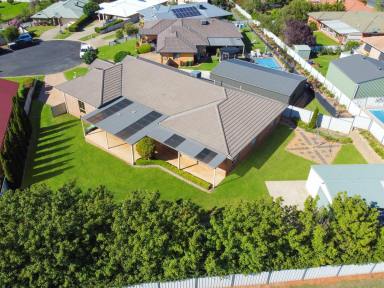 House For Sale - NSW - Young - 2594 - Perfect Location, Beautiful Family Home  (Image 2)