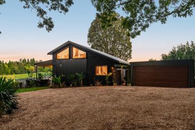 Acreage/Semi-rural For Sale - NSW - Dunoon - 2480 - A Unique Lifestyle Barn Conversion on 5 Acres in the Heart of Dunoon  (Image 2)