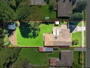 House For Sale - NSW - Moss Vale - 2577 - More Than Meets The Eye  (Image 2)