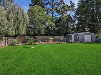 House For Sale - NSW - Moss Vale - 2577 - Sprawling Home - Popular Location, Future Possibilities. (Image 2)