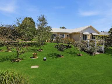 House For Sale - NSW - Moss Vale - 2577 - The Ultimate Downsizer!  (Image 2)