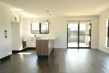 House For Lease - TAS - Youngtown - 7249 - Modern Family Living (Image 2)