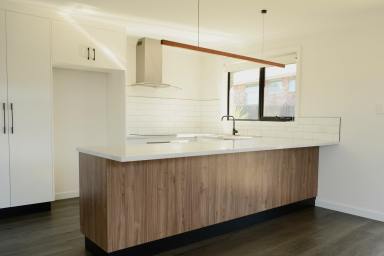 House For Lease - TAS - Youngtown - 7249 - Modern Family Living (Image 2)