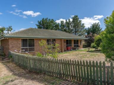 House For Sale - TAS - Oatlands - 7120 - A Slice of Rural Life  (Image 2)