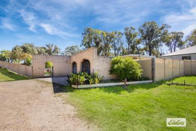 House For Sale - VIC - Eaglehawk - 3556 - Subdivision / Building Possibilities - Surrounding an Established Home & Shedding  (Image 2)