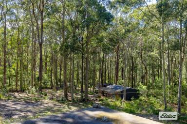 House For Sale - NSW - Barragga Bay - 2546 - Bush Meets Coast  (Image 2)