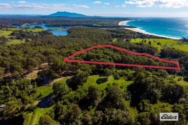 House For Sale - NSW - Barragga Bay - 2546 - Bush Meets Coast  (Image 2)