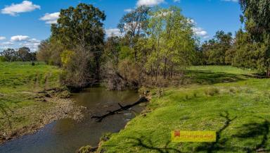 Duplex/Semi-detached For Sale - NSW - Mudgee - 2850 - STRONG INVESTMENT OPPORTUNITY WITH 6% RETURN  (Image 2)