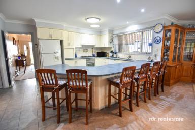 House For Sale - NSW - Inverell - 2360 - SAY YES TO THE ADDRESS  (Image 2)