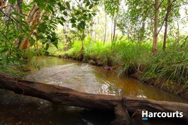 Residential Block For Sale - QLD - Gregory River - 4660 - 46.99 ACRES NESTLED ALONG LOGGING CREEK  (Image 2)