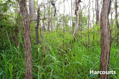 Residential Block For Sale - QLD - Gregory River - 4660 - 46.99 ACRES NESTLED ALONG LOGGING CREEK  (Image 2)