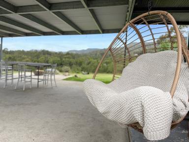 Acreage/Semi-rural For Sale - NSW - Congewai - 2325 - 'High Ground' - A perfect Weekender Acreage (Image 2)