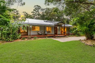 House For Sale - QLD - Pomona - 4568 - Stonehaven - A Timeless Character Home Embraced by 2.25 Acres of Serenity  (Image 2)