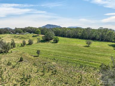 Acreage/Semi-rural For Sale - NSW - Coralville - 2443 - Renovated Country Living with Separate Guest Space (Image 2)
