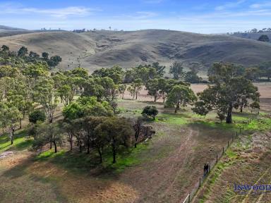 Residential Block For Sale - SA - Harrogate - 5244 - 255.4 Ha (638.5 Ac) of Adelaide Hills landscape – scale, vast horizons, versatility, productivity & seclusion.  (Image 2)