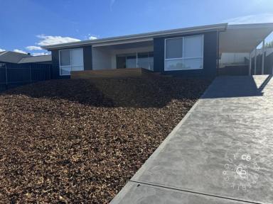 House For Lease - SA - Mannum - 5238 - Spacious Living  (Image 2)