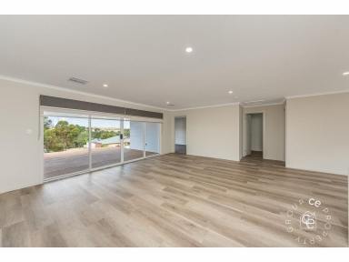 House For Lease - SA - Mannum - 5238 - Spacious Living  (Image 2)