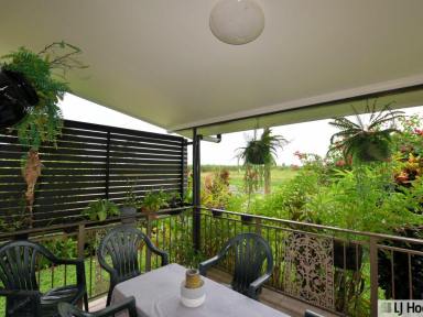 House For Sale - QLD - Tully - 4854 - Space, Shed & Style – move in ready renovated Family Home  (Image 2)