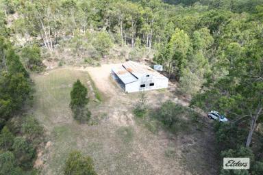 Residential Block For Sale - QLD - Laidley - 4341 - Escape to the Country – Just under 16 Acres - Minutes from Laidley  (Image 2)