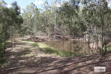 Residential Block For Sale - QLD - Laidley - 4341 - Escape to the Country – Just under 16 Acres - Minutes from Laidley  (Image 2)