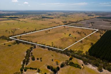 Other (Rural) For Sale - VIC - Seaspray - 3851 - 72 Acres of Rural Lifestyle with only a 'Hop, Skip & a Jump' to the Ninety Mile Beach  (Image 2)
