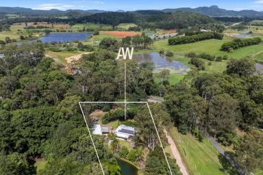 Acreage/Semi-rural For Sale - QLD - Eumundi - 4562 - Private Acreage Lifestyle Within Walking Distance to Eumundi (Image 2)