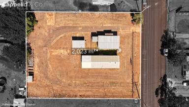 House For Sale - NSW - Hillston - 2675 - CENTRAL OPPORTUNITY FOR HOUSING, EXPANSION OR STORAGE  (Image 2)
