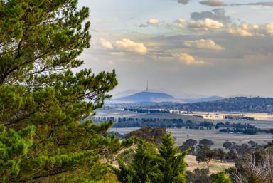 House Auction - NSW - Wallaroo - 2618 - Put Your Name On This Title  (Image 2)