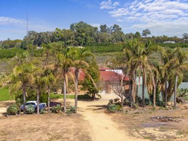 House For Sale - SA - Berri - 5343 - SUBSTANTIAL BERRI HOME ON 4,605SQM - CURRENTLY RETURNING $750 PER WEEK  (Image 2)