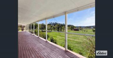House For Lease - QLD - Laidley - 4341 - Peaceful Country Lifestyle on Small Acreage  (Image 2)