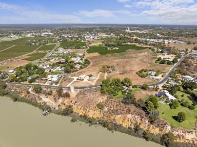 Land/Development For Sale - SA - Berri - 5343 - Future "River View Estate" - 8.09ha Deferred Urban Land With Concept ~100 Allotments  (Image 2)