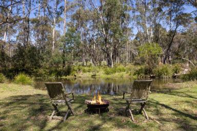 Acreage/Semi-rural For Sale - NSW - Exeter - 2579 - Elegance, Space & Nature in Harmony  (Image 2)