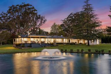 Acreage/Semi-rural For Sale - NSW - Exeter - 2579 - Elegance, Space & Nature in Harmony  (Image 2)