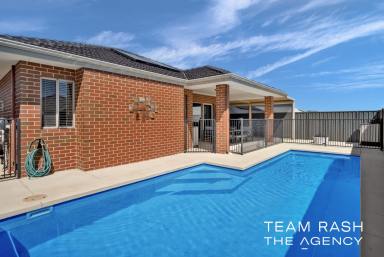 House For Sale - WA - Banksia Grove - 6031 - THE ULTIMATE FAMILY HOME  (Image 2)