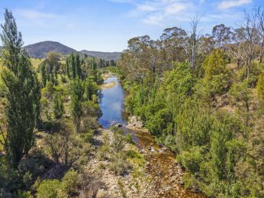 Acreage/Semi-rural For Sale - NSW - Rocky Hall - 2550 - 300 ACRES | RIVER FRONTAGE | GRAZING & BUSH | CLASSIC FARMHOUSE  (Image 2)