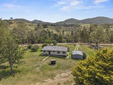 Acreage/Semi-rural For Sale - NSW - Rocky Hall - 2550 - 300 ACRES | RIVER FRONTAGE | GRAZING & BUSH | CLASSIC FARMHOUSE  (Image 2)