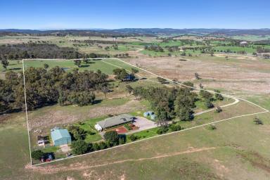 Other (Rural) For Sale - NSW - Goulburn - 2580 - Private 25-Acre Lifestyle Retreat - just 15 minutes from Goulburn  (Image 2)