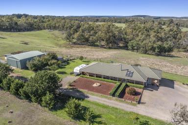 Other (Rural) Auction - NSW - Goulburn - 2580 - Private 25-Acre Lifestyle Retreat - just 15 minutes from Goulburn  (Image 2)