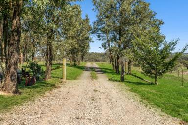 Other (Rural) Auction - NSW - Goulburn - 2580 - Private 25-Acre Lifestyle Retreat - just 15 minutes from Goulburn (Image 2)