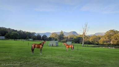 Acreage/Semi-rural For Sale - NSW - Kangaroo Valley - 2577 - Small Farm next to village  (Image 2)