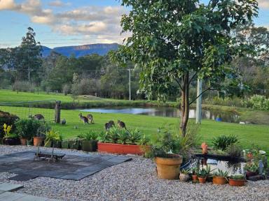 Acreage/Semi-rural For Sale - NSW - Kangaroo Valley - 2577 - Small Farm next to village  (Image 2)