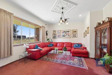 Lifestyle For Sale - VIC - Irrewillipe - 3249 - A True Country Haven… (Image 2)