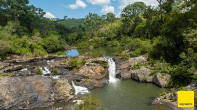 Other (Rural) For Sale - NSW - Dorrigo - 2453 - 'Chelmer' North Dorrigo  (Image 2)