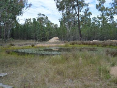 Livestock For Sale - QLD - Inglewood - 4387 - Perfect Lifestyle  (Image 2)
