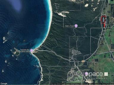 Residential Block For Sale - WA - Karridale - 6288 - Boranup Forest  (Image 2)