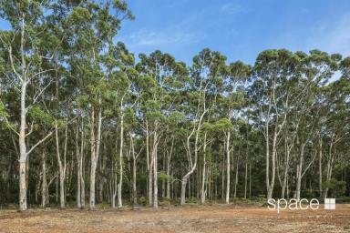 Residential Block For Sale - WA - Karridale - 6288 - Boranup Forest  (Image 2)