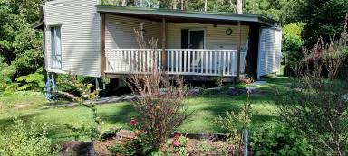Flat For Lease - QLD - Flaxton - 4560 - Single living Flaxton granny flat  (Image 2)