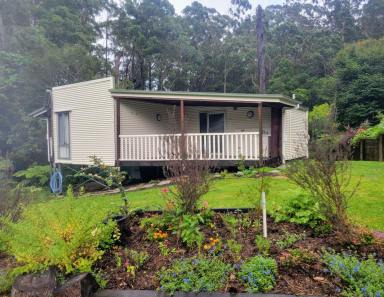 Flat For Lease - QLD - Flaxton - 4560 - Single living Flaxton granny flat (Image 2)