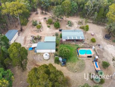 Acreage/Semi-rural For Sale - NSW - Inverell - 2360 - Peaceful Lifestyle Living on Approx. 10 Acres – "Gumdale"  (Image 2)