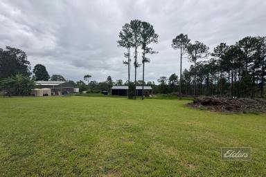 Residential Block For Sale - QLD - Glenwood - 4570 - ROOM FOR THE BIG IDEAS  (Image 2)